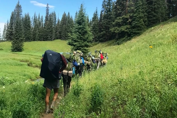 Where Function Meets Field-Tested Strength