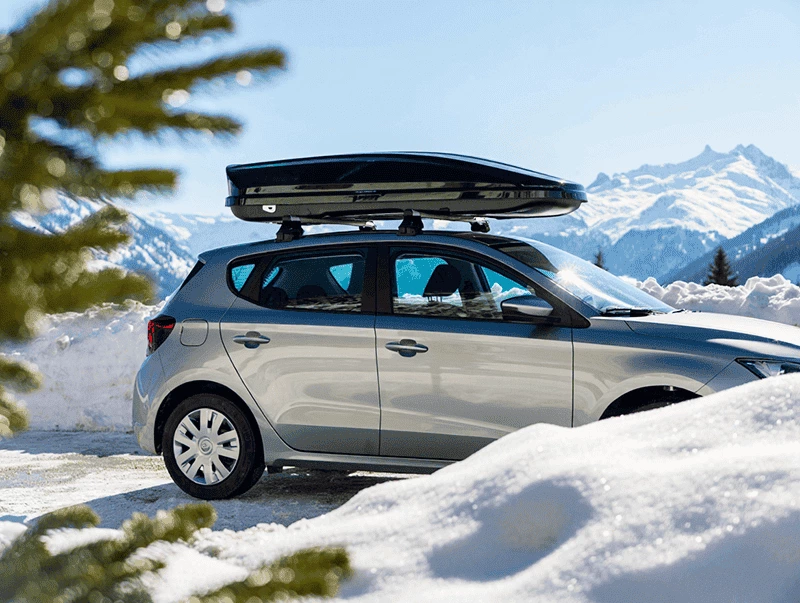 Car Roof Box