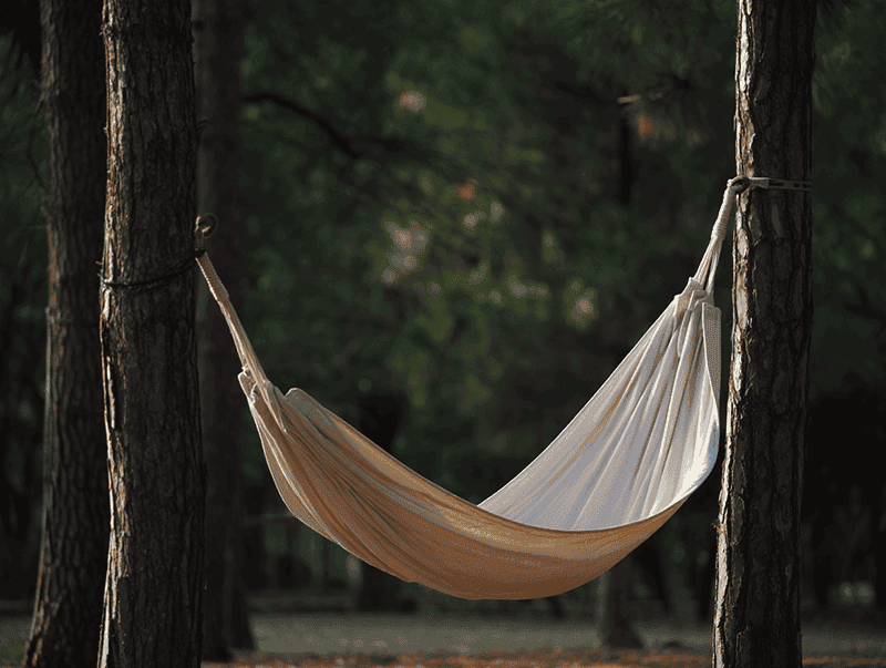 Hammock