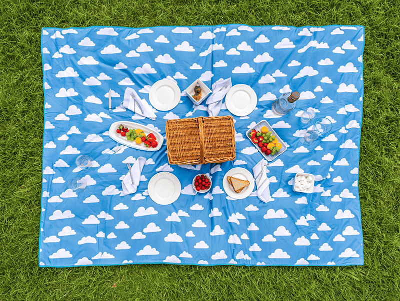 Picnic Mat