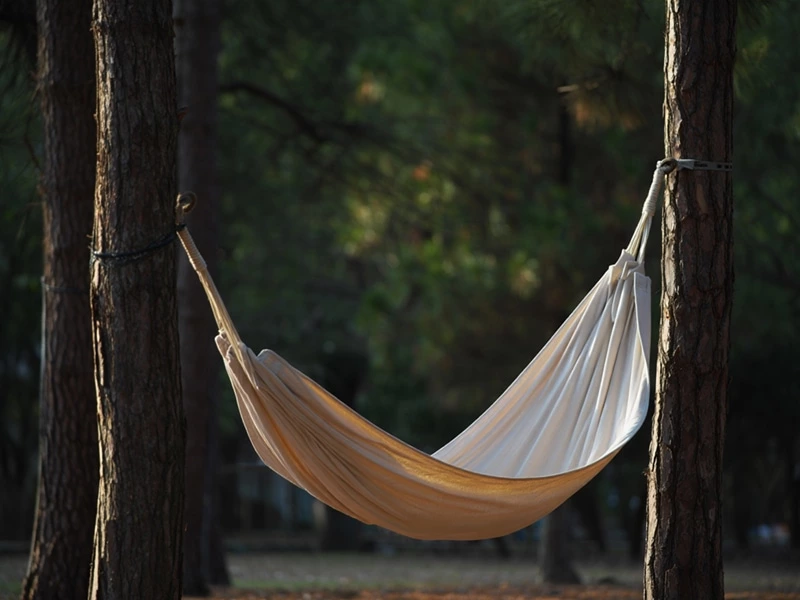 Hammock