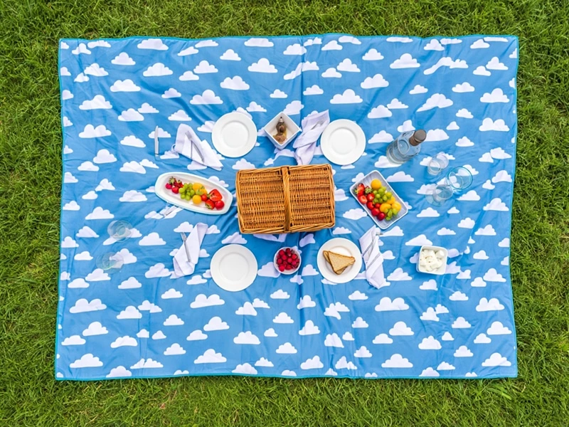 Picnic Mat