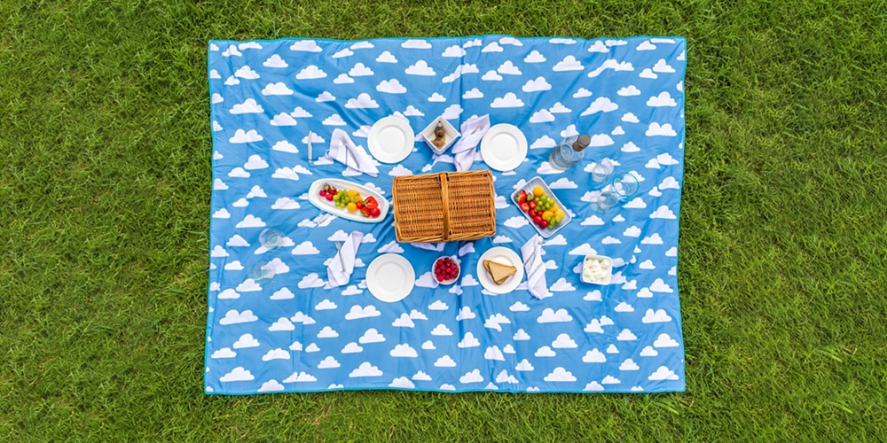 Picnic Mat