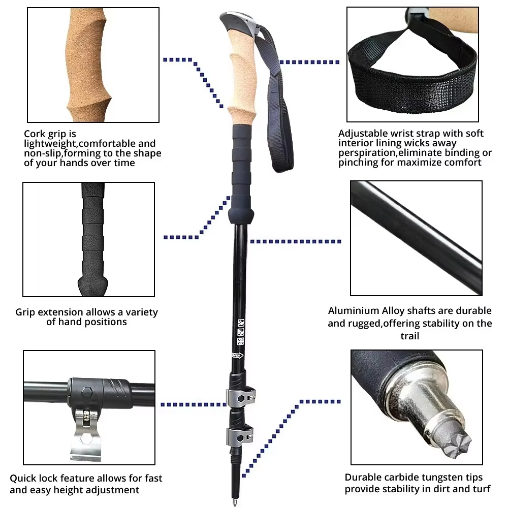 OEM Carbon Fiber Folding Trekking Poles | Customizable Pair | GulTrek
